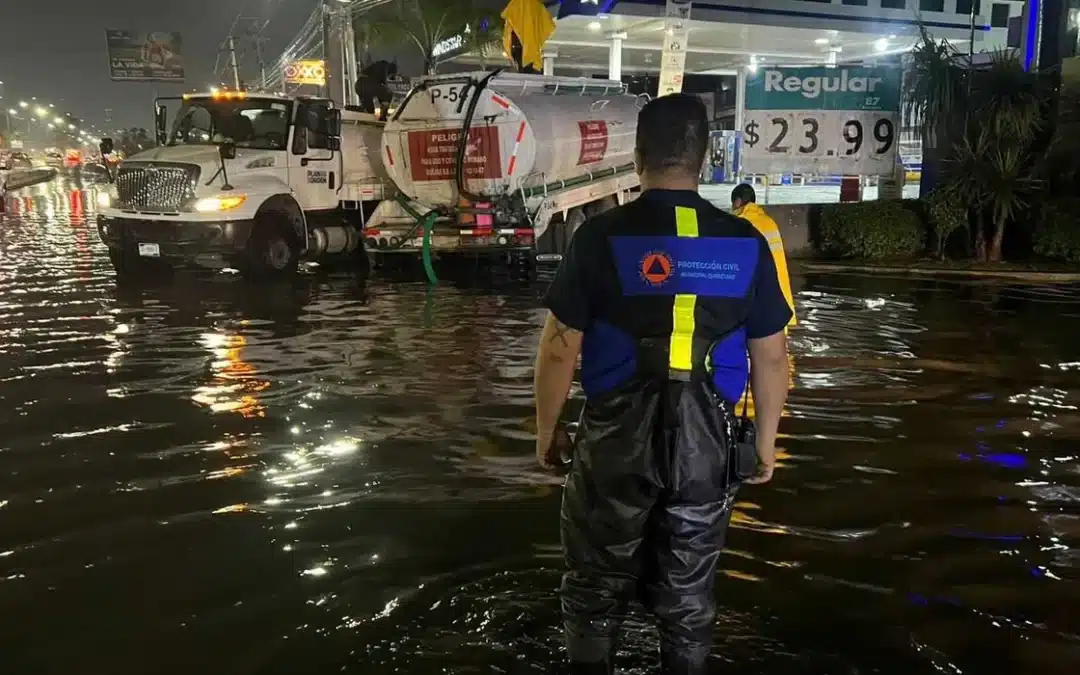 Vientos y lluvias derriban al menos 18 árboles en Querétaro; no hay lesionados