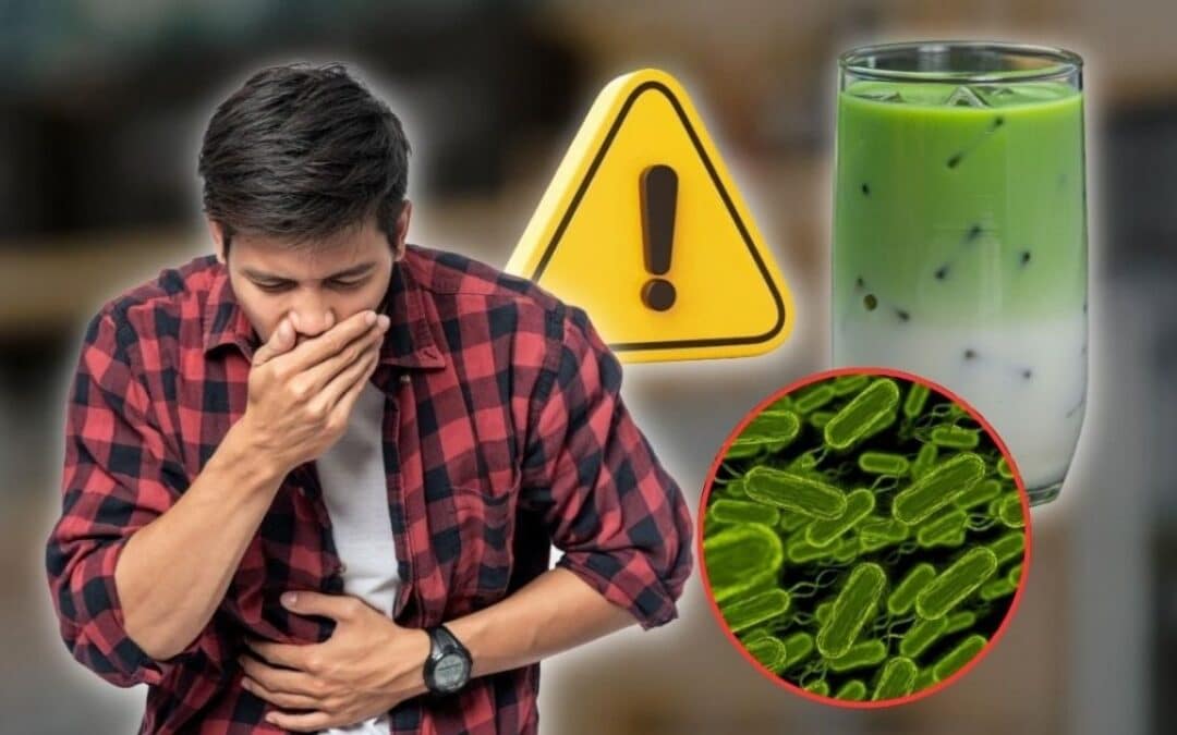 FDA alerta por bebidas de matcha ante posible contaminación con Salmonella